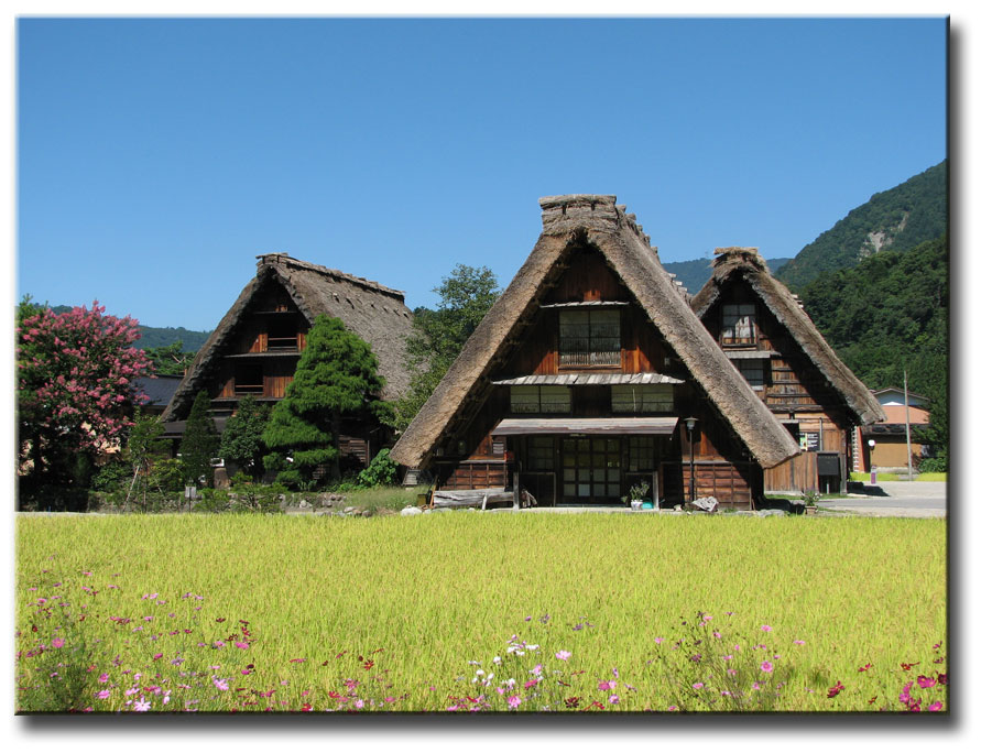 Small Group Countryside Tours Of Japan